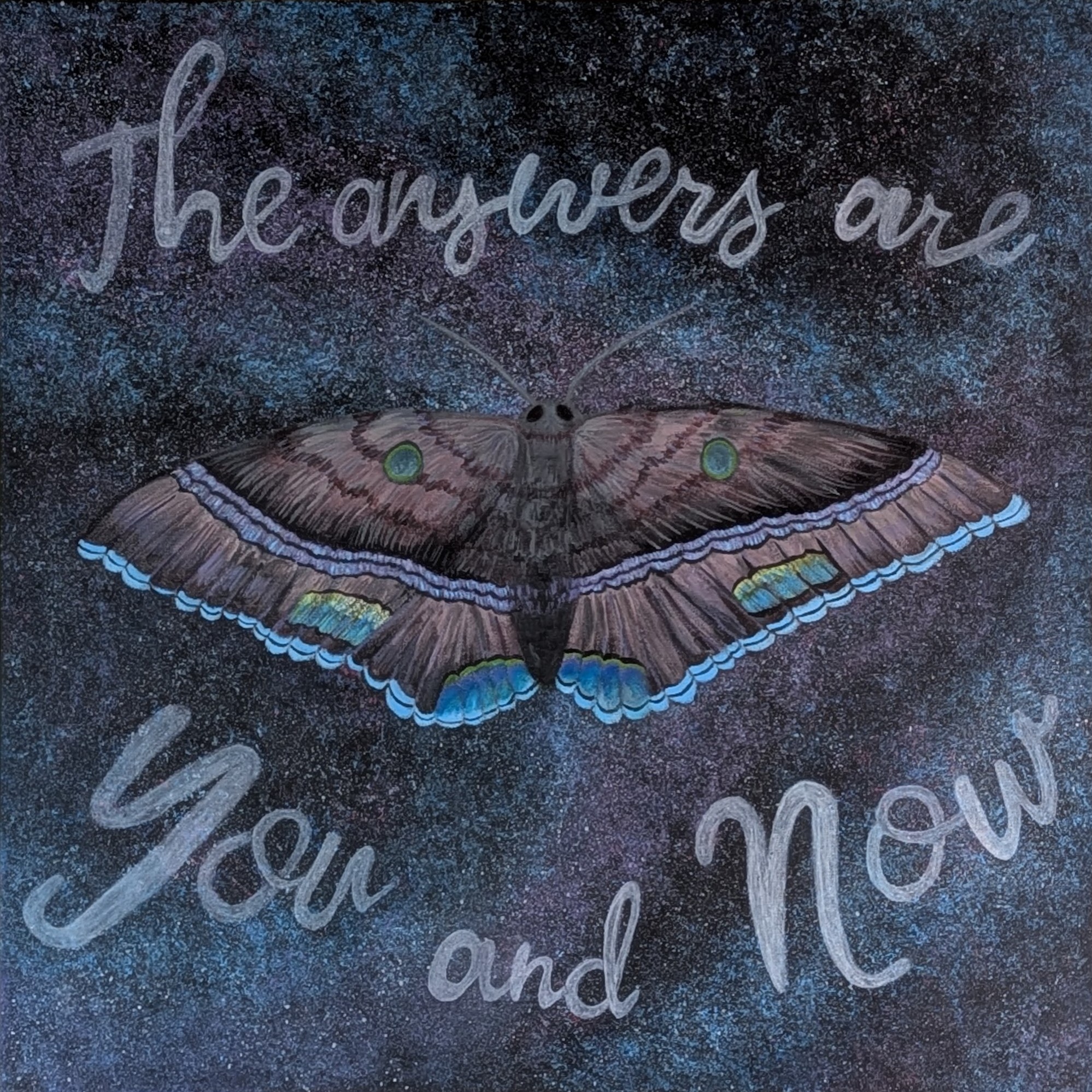 Black witch moth with colorful wings against starry sky